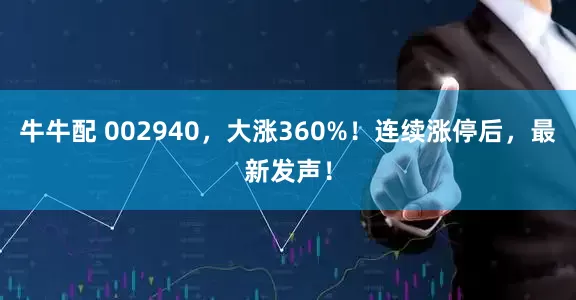 牛牛配 002940，大涨360%！连续涨停后，最新发声！